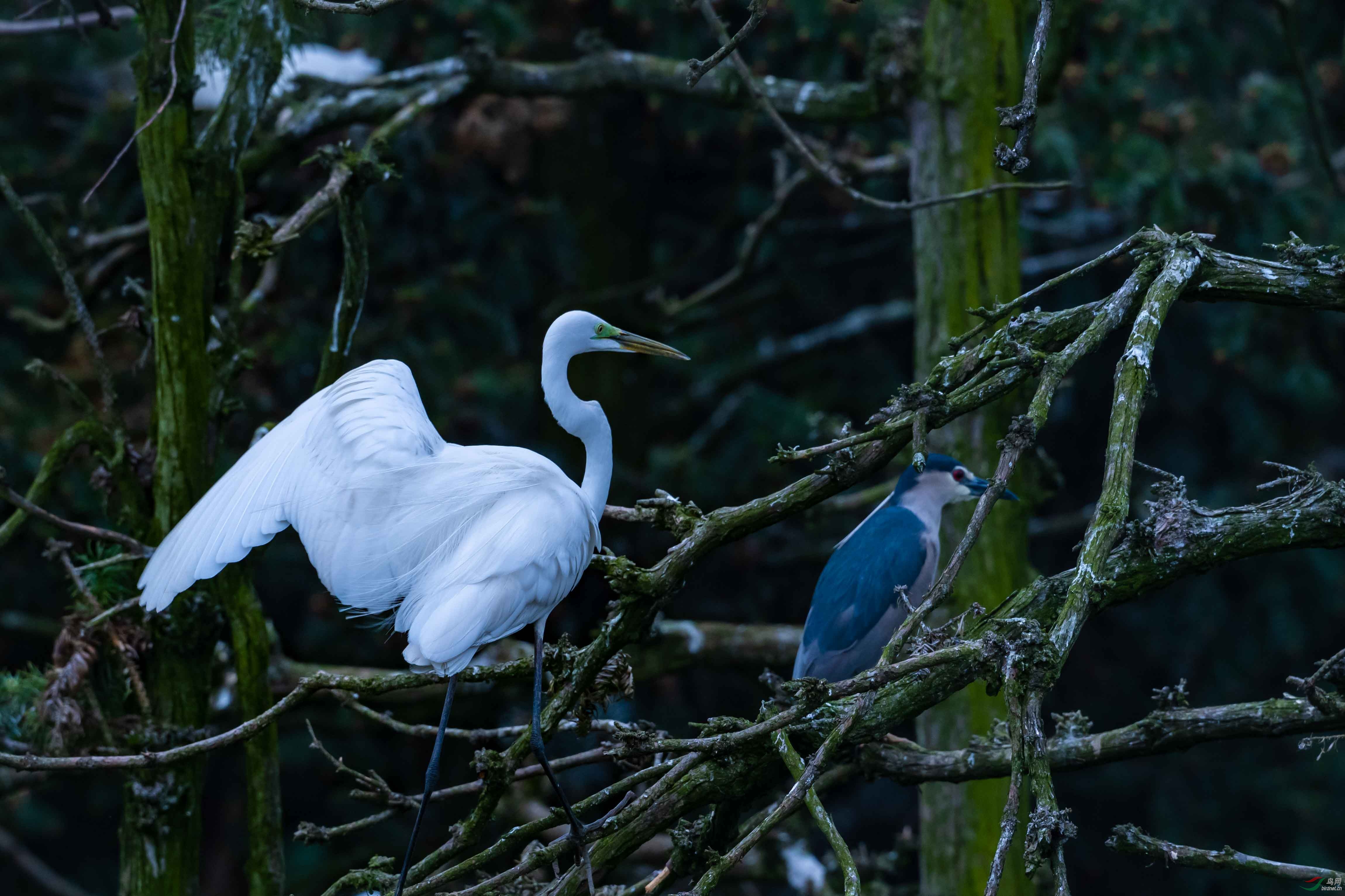 DSC_8707.jpg