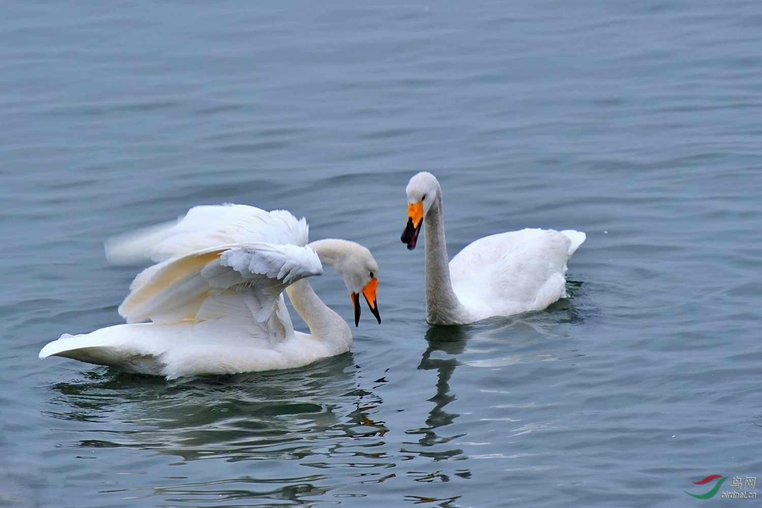 �̶ս�˫DSC_0024_28041��.jpg