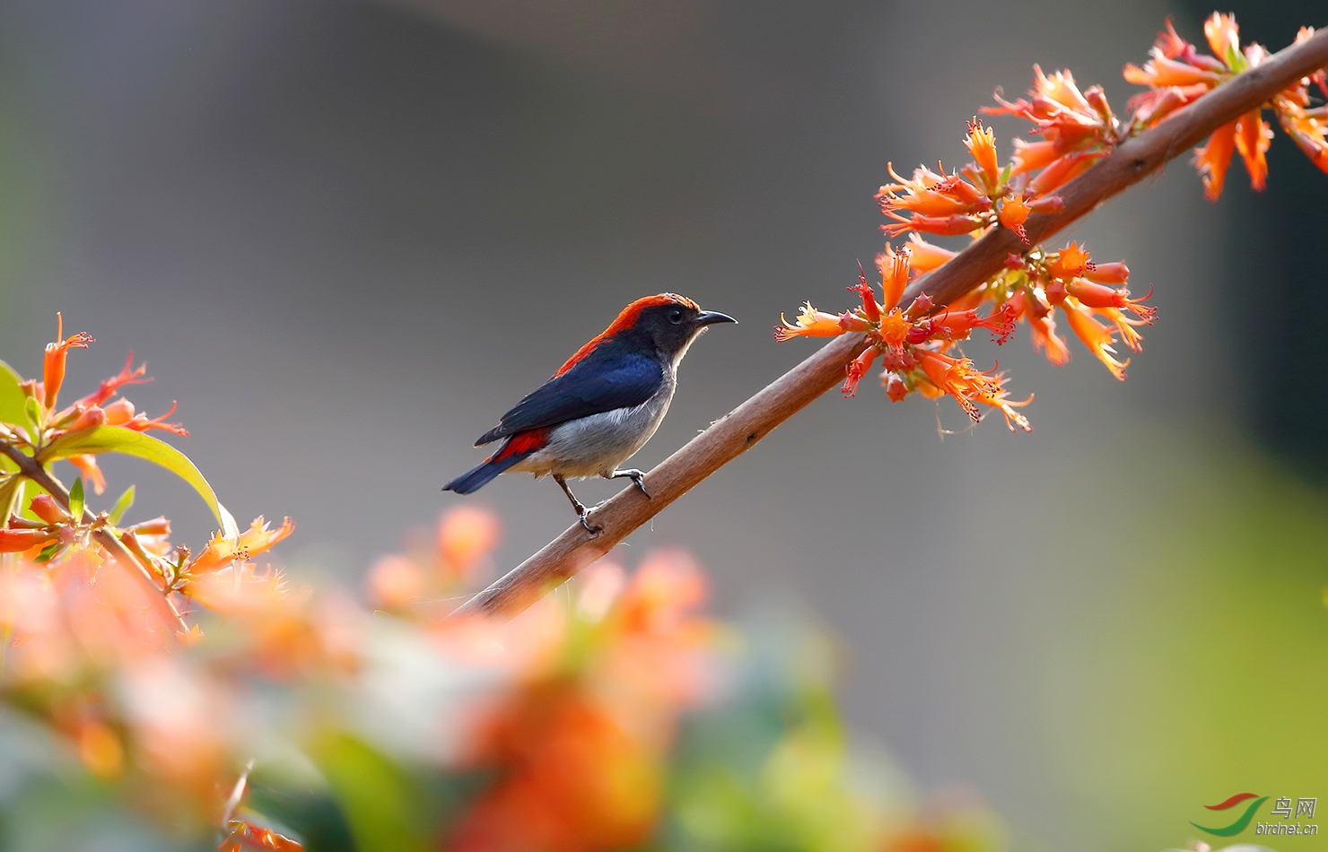 Ϻ�л� �챳�Ļ���.jpg