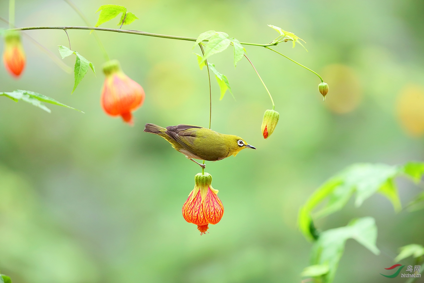 �ư����廨 �Ҹ�����.jpg