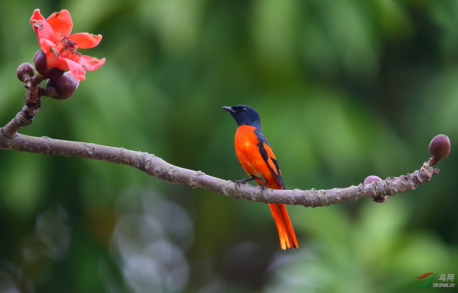 ���޻� ���ɽ��.jpg