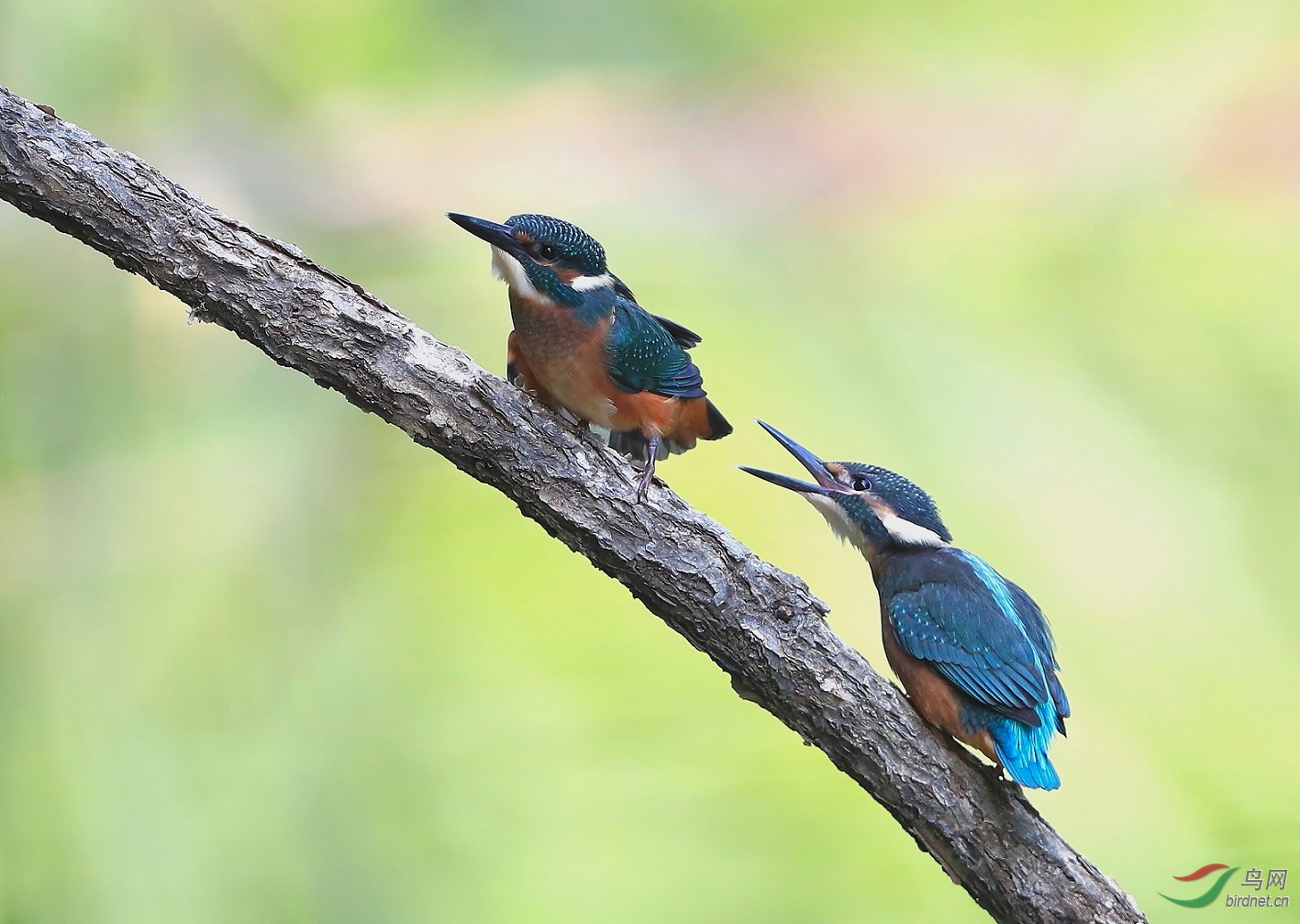 ����ͬ����