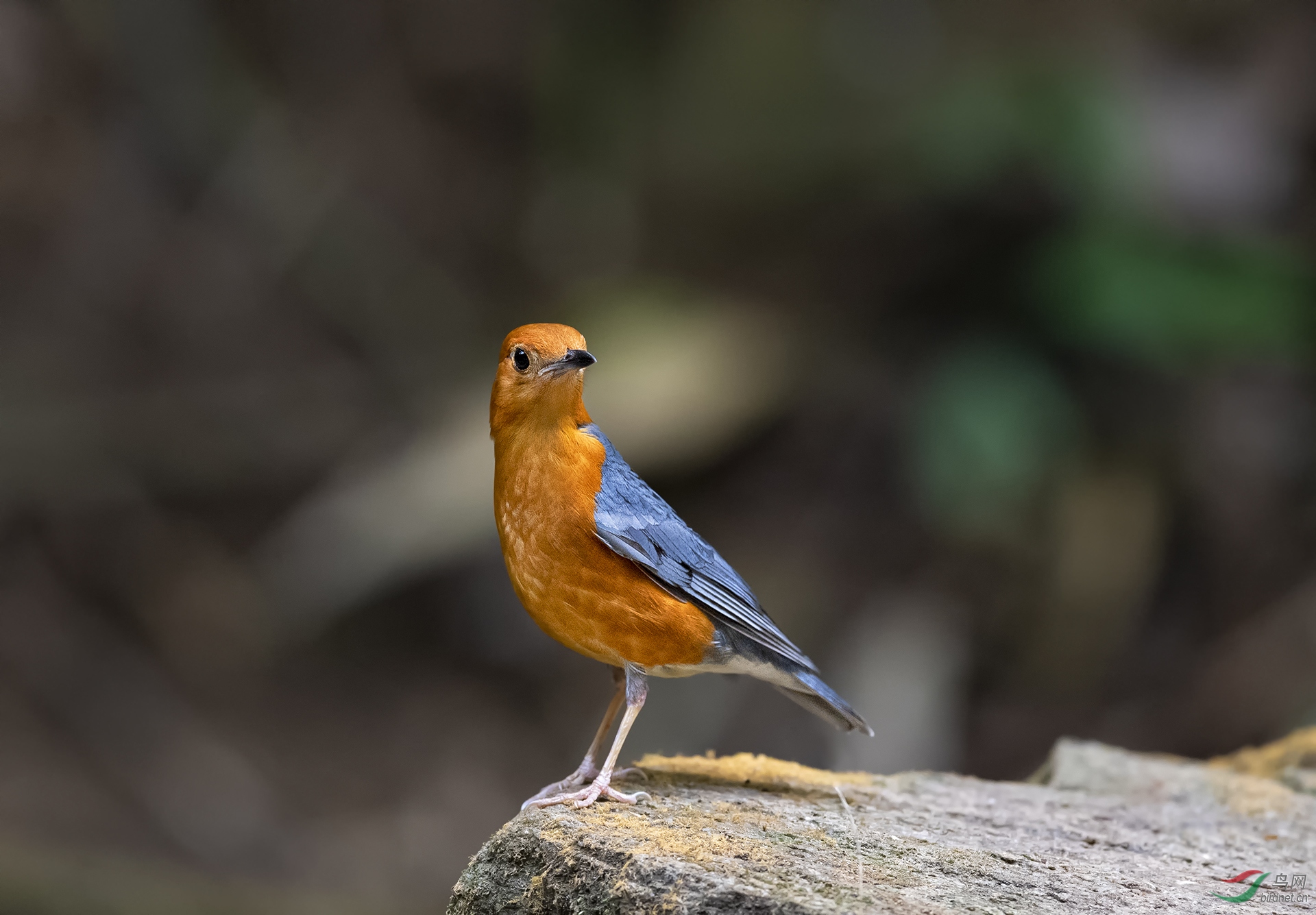 DSC_8069.jpg