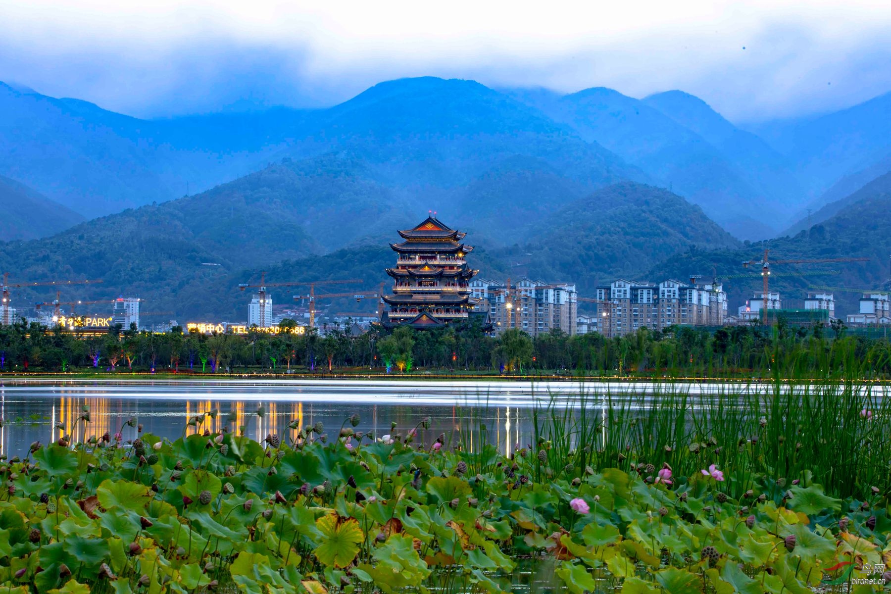 保山青华海湿地公园一角