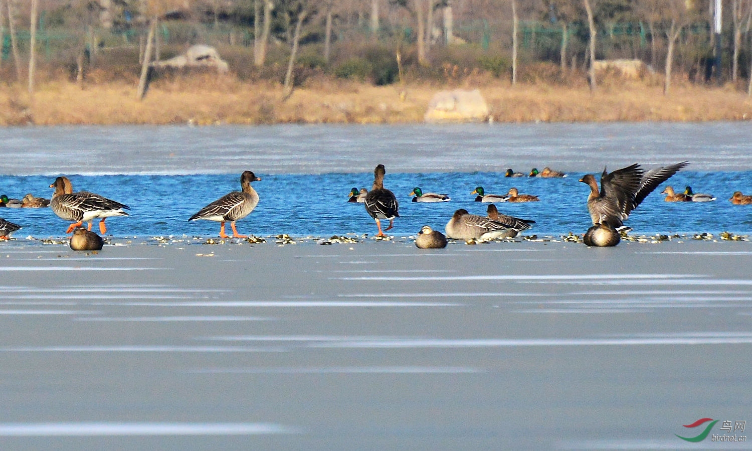 DSC_6328.JPG