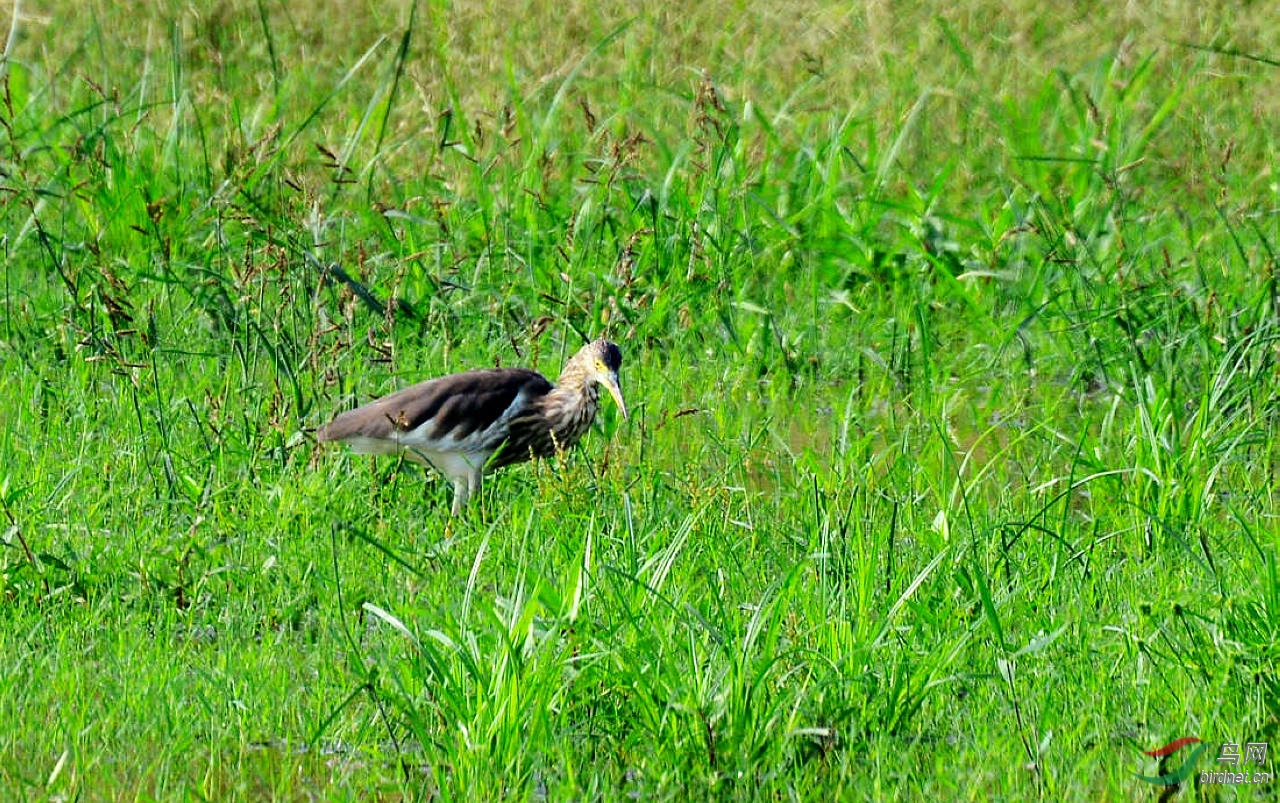 DSC_7144.JPG