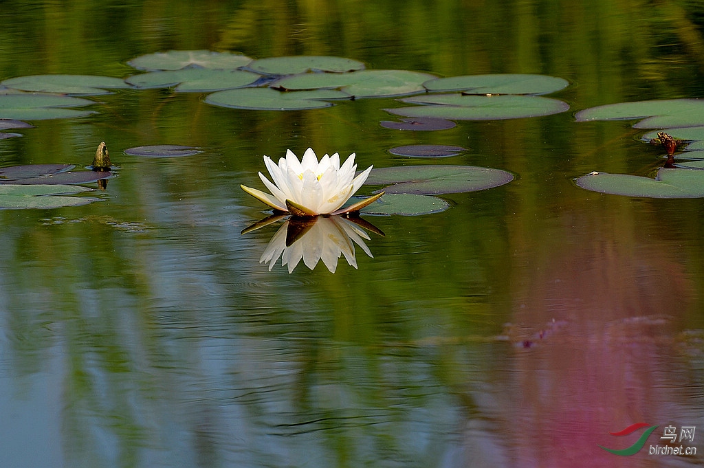 DSC_3808.JPG
