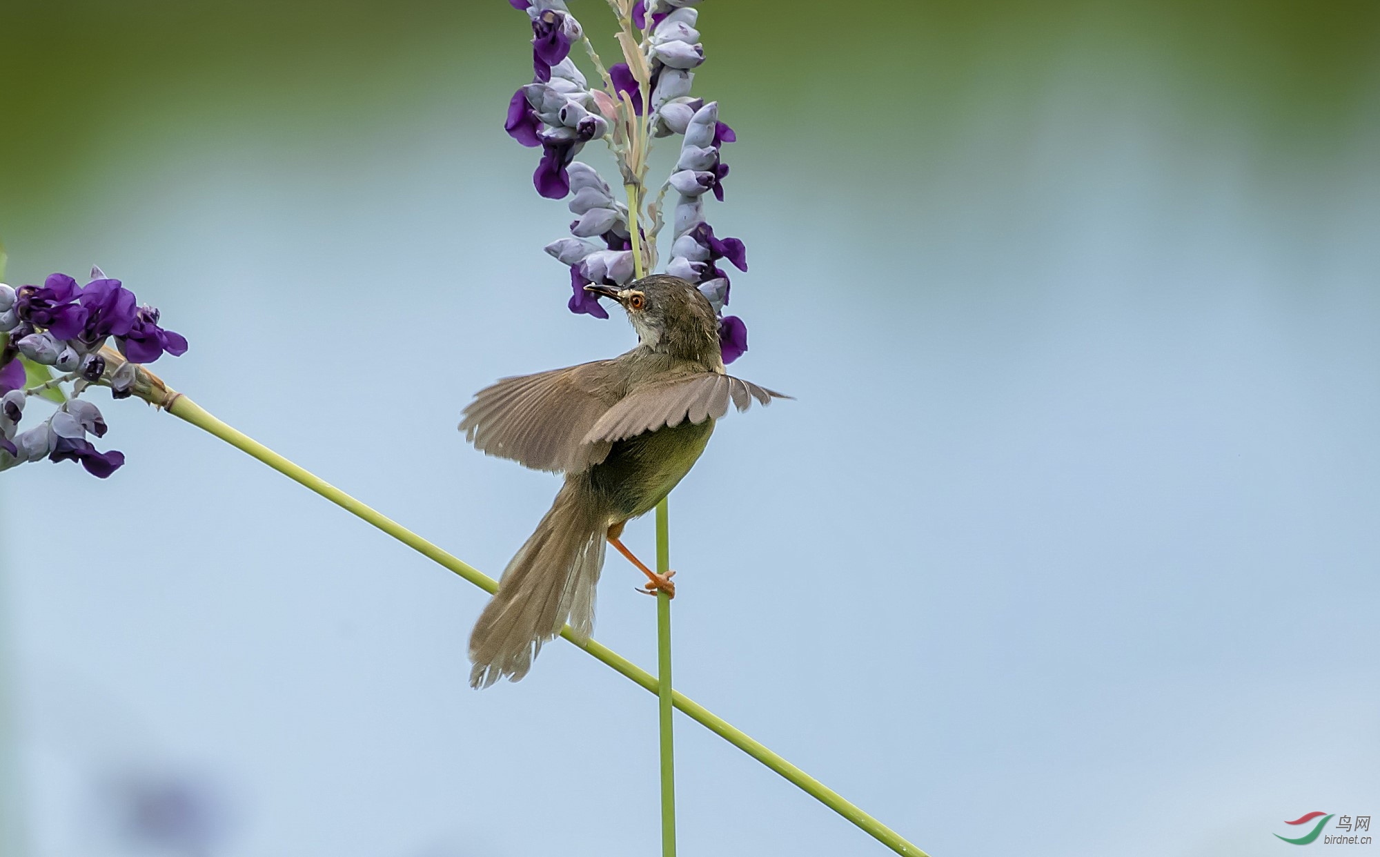 DSC_3072_����.jpg