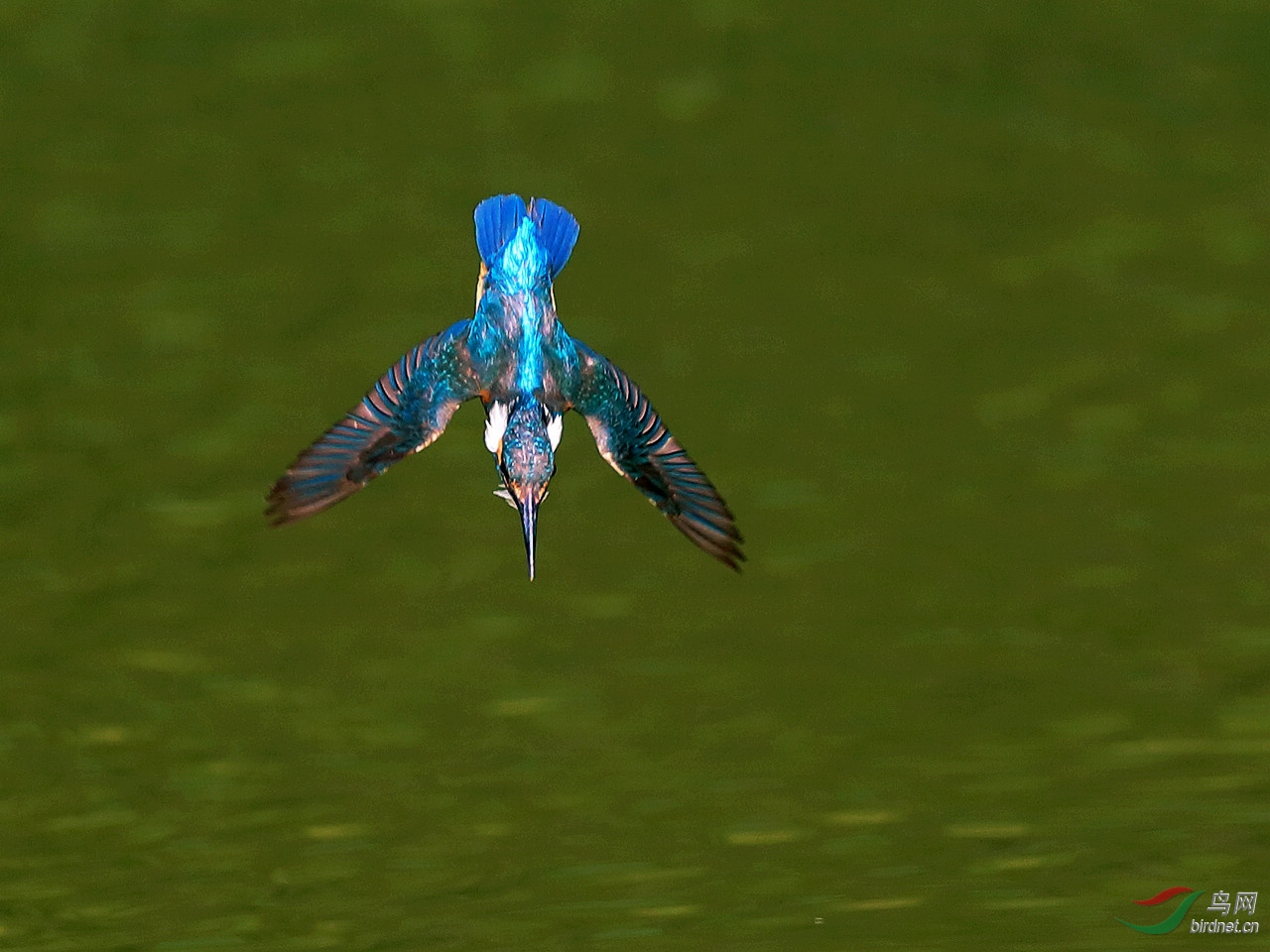 IMGL1377.jpg