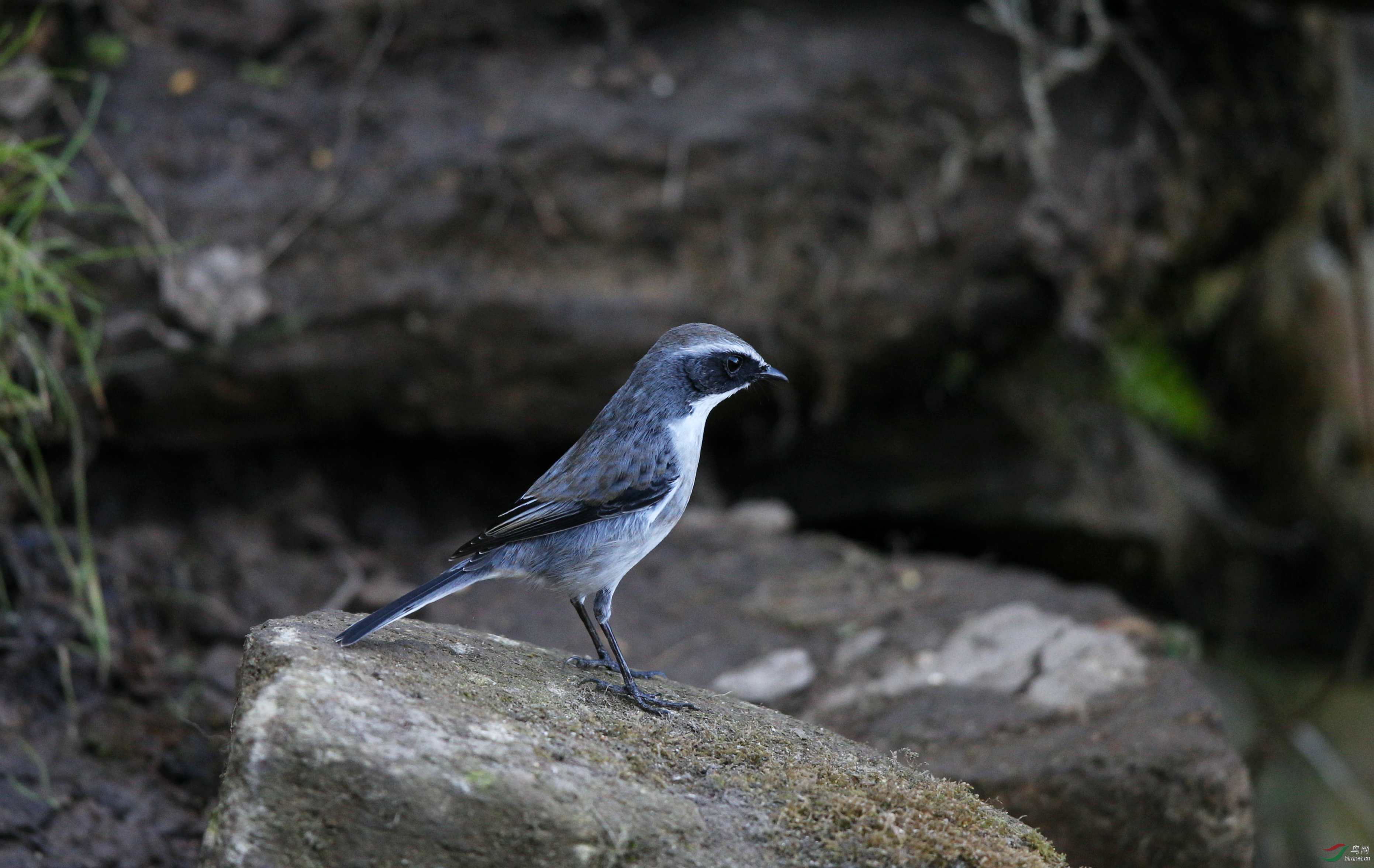 �����S (2).jpg