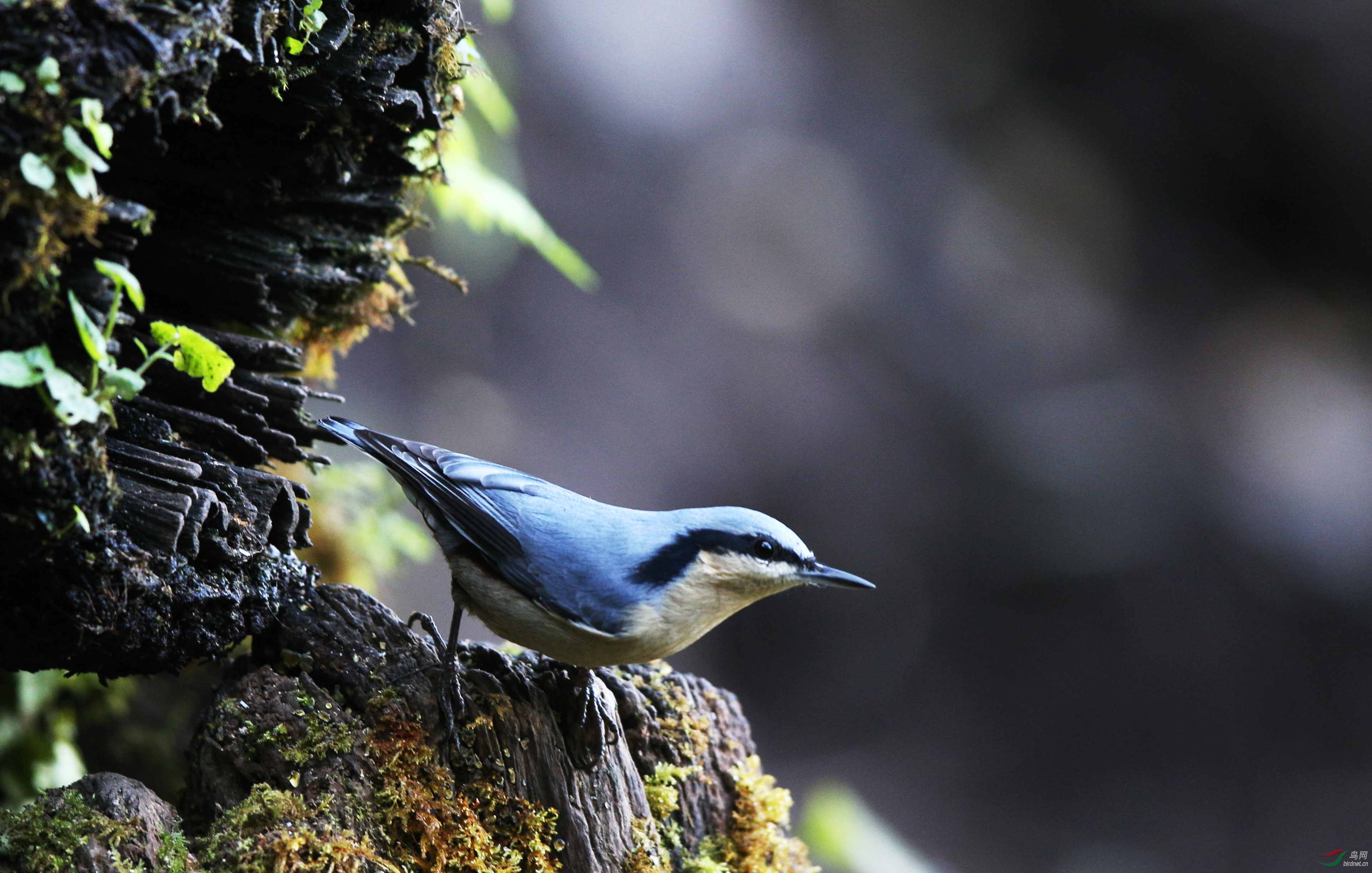 ����� (3).jpg