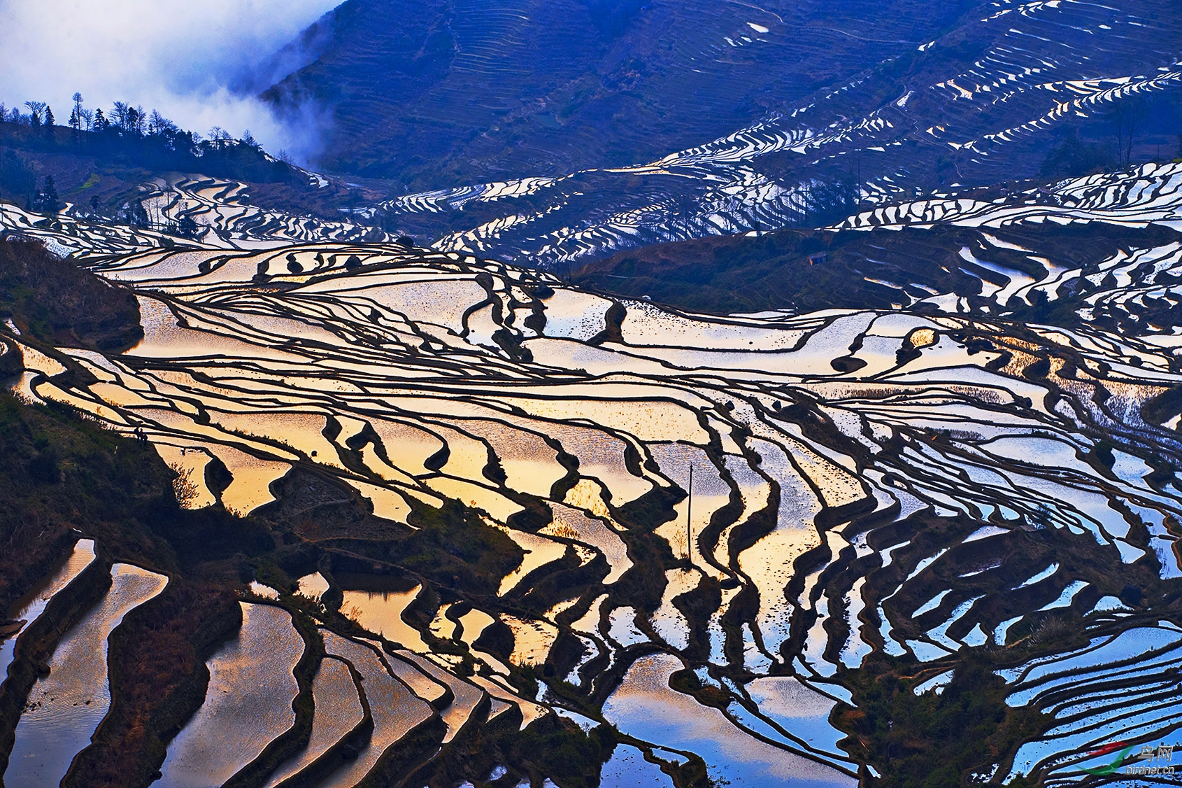 七彩梯田八祝贺荣获首页综合精华