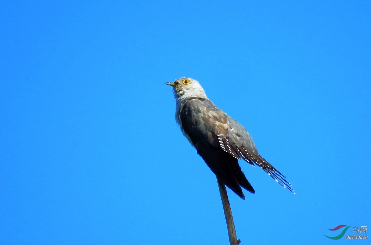 �жž�IMG_4938.JPG