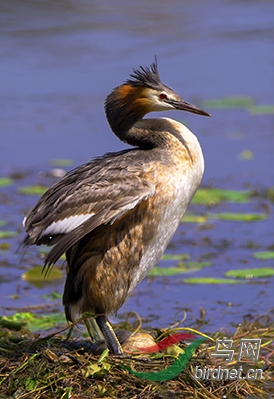 ��Ұ���������������������������˱��ְ������ϵİ�ȫ���룬������л����������ĺ�����˽�����Ӵ��� ...