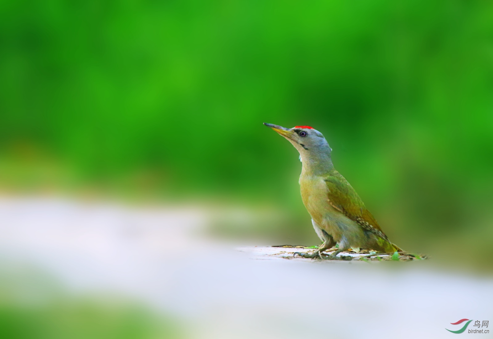 ��Ƭ 047_����.jpg