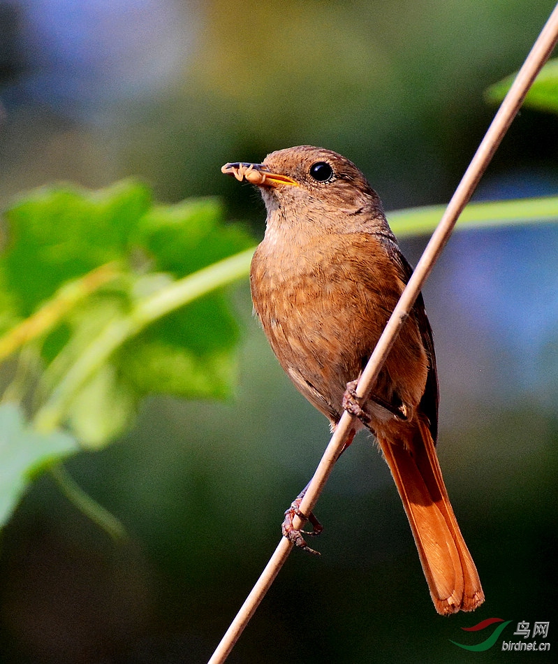 DSC_8204.JPG