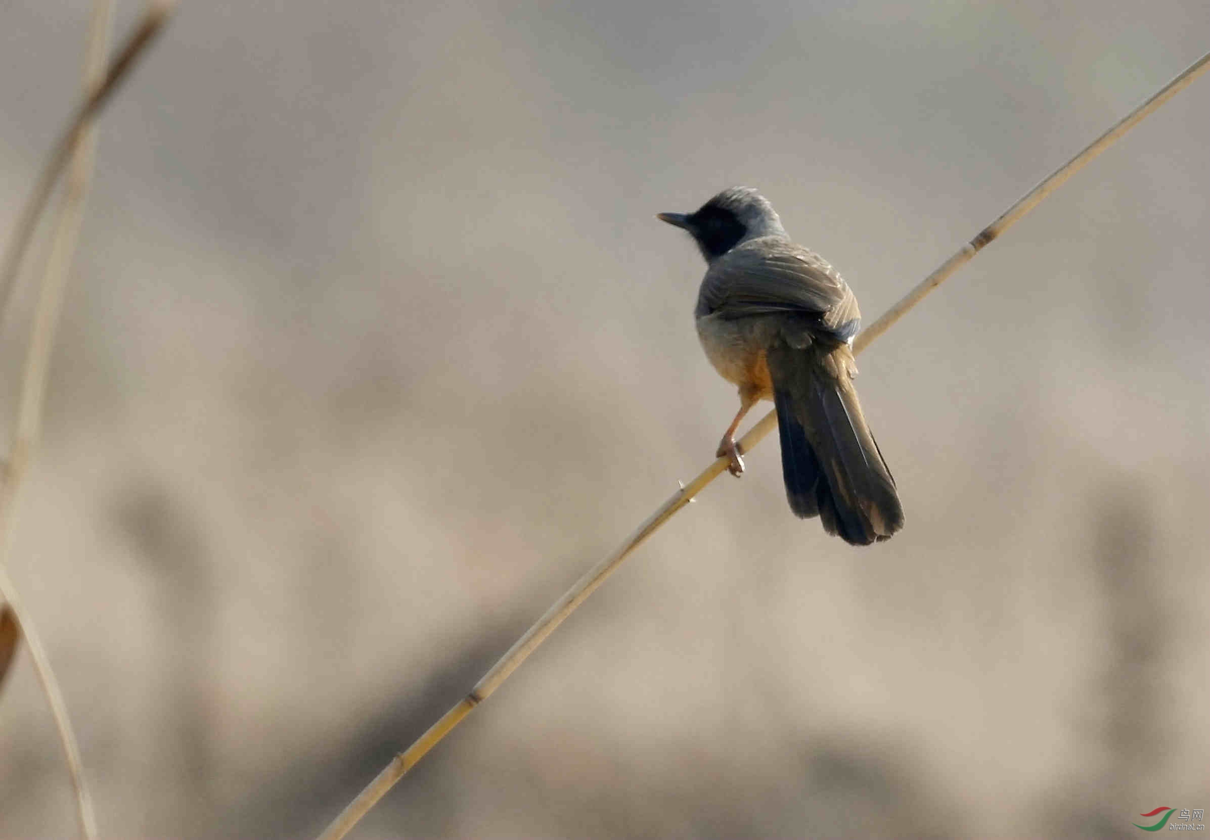 _E8J9664_����.jpg