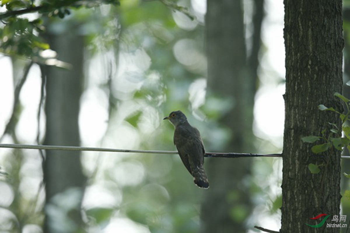 _TAO9359.jpg