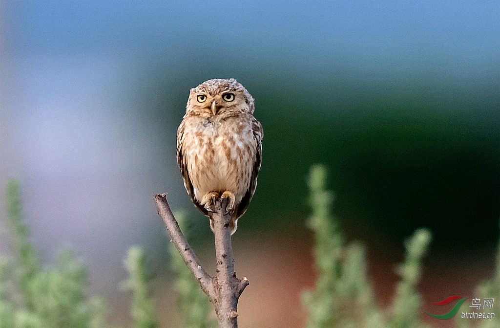 _K8I3505  01_����.jpg