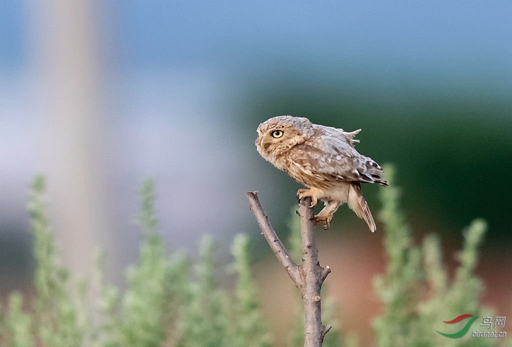 _K8I3478  _����.jpg