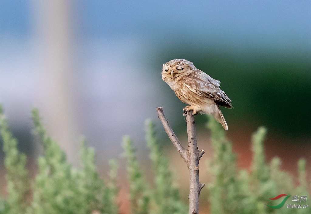 _K8I3481  01_����.jpg