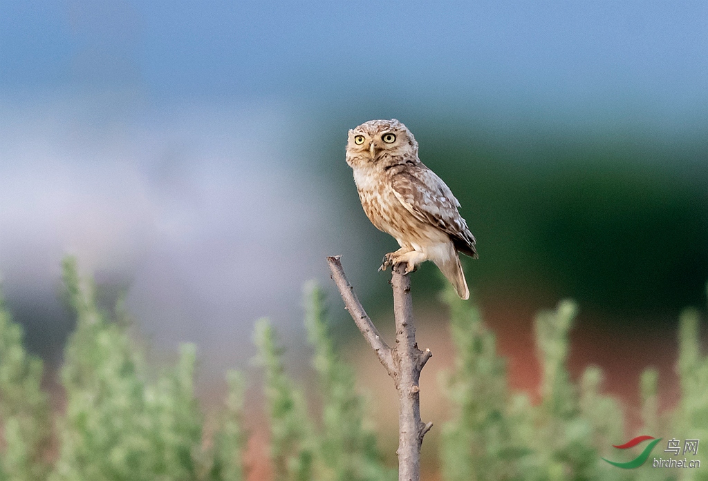 _K8I3482  01_����.jpg