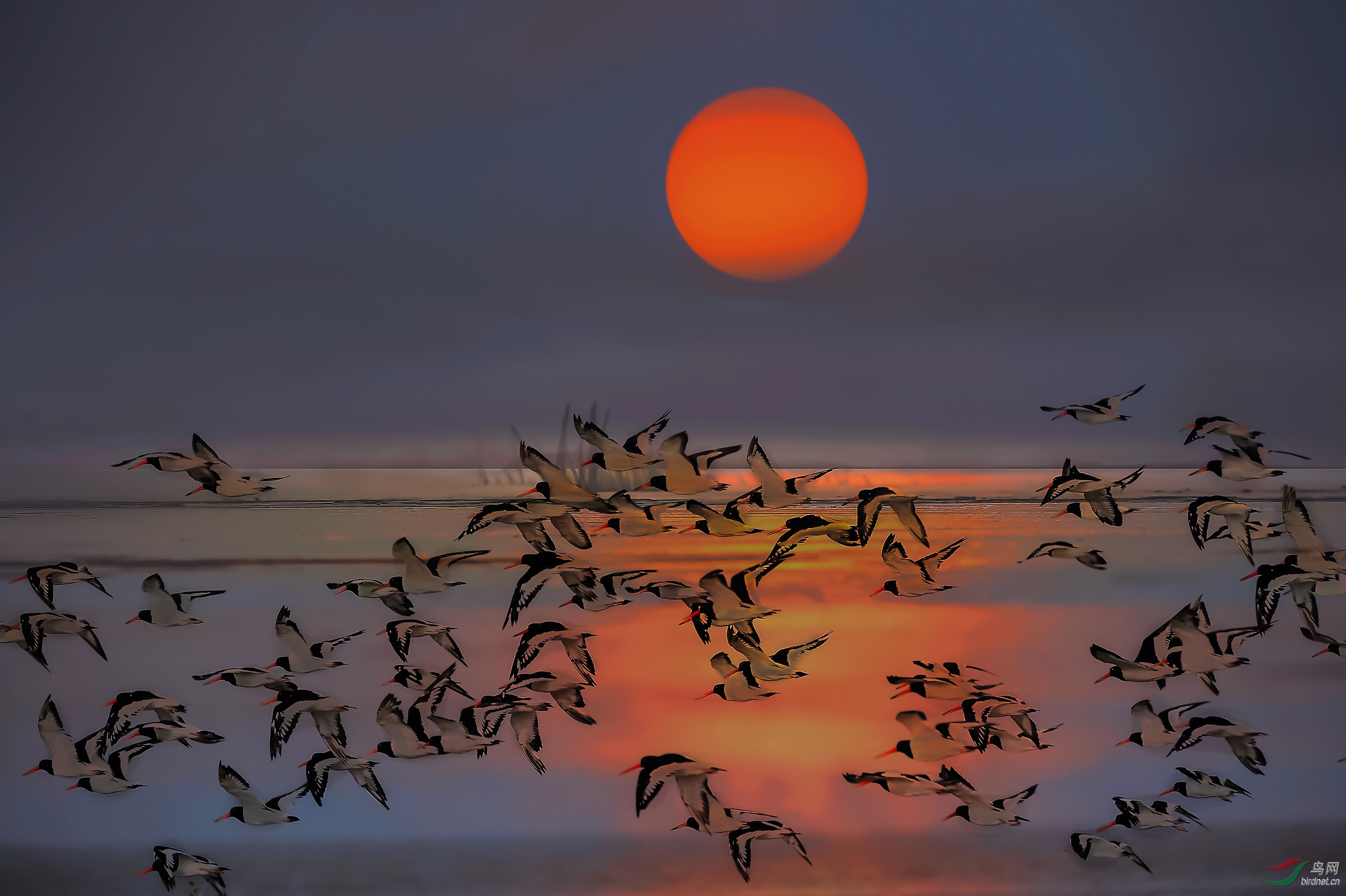 ��Խ����_DSC3886-����A-cc.jpg