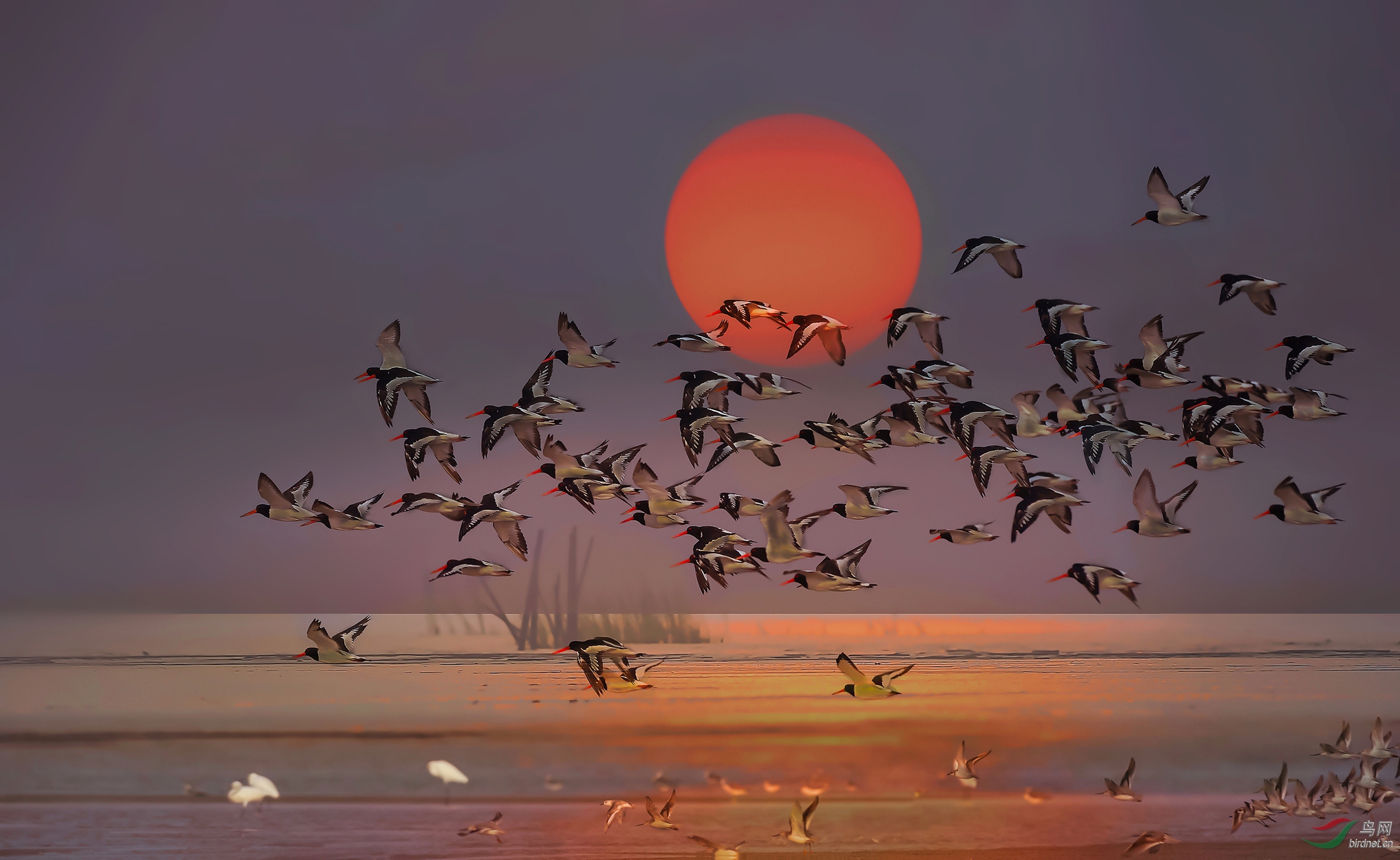 ������_DSC3883-����A-cc.jpg