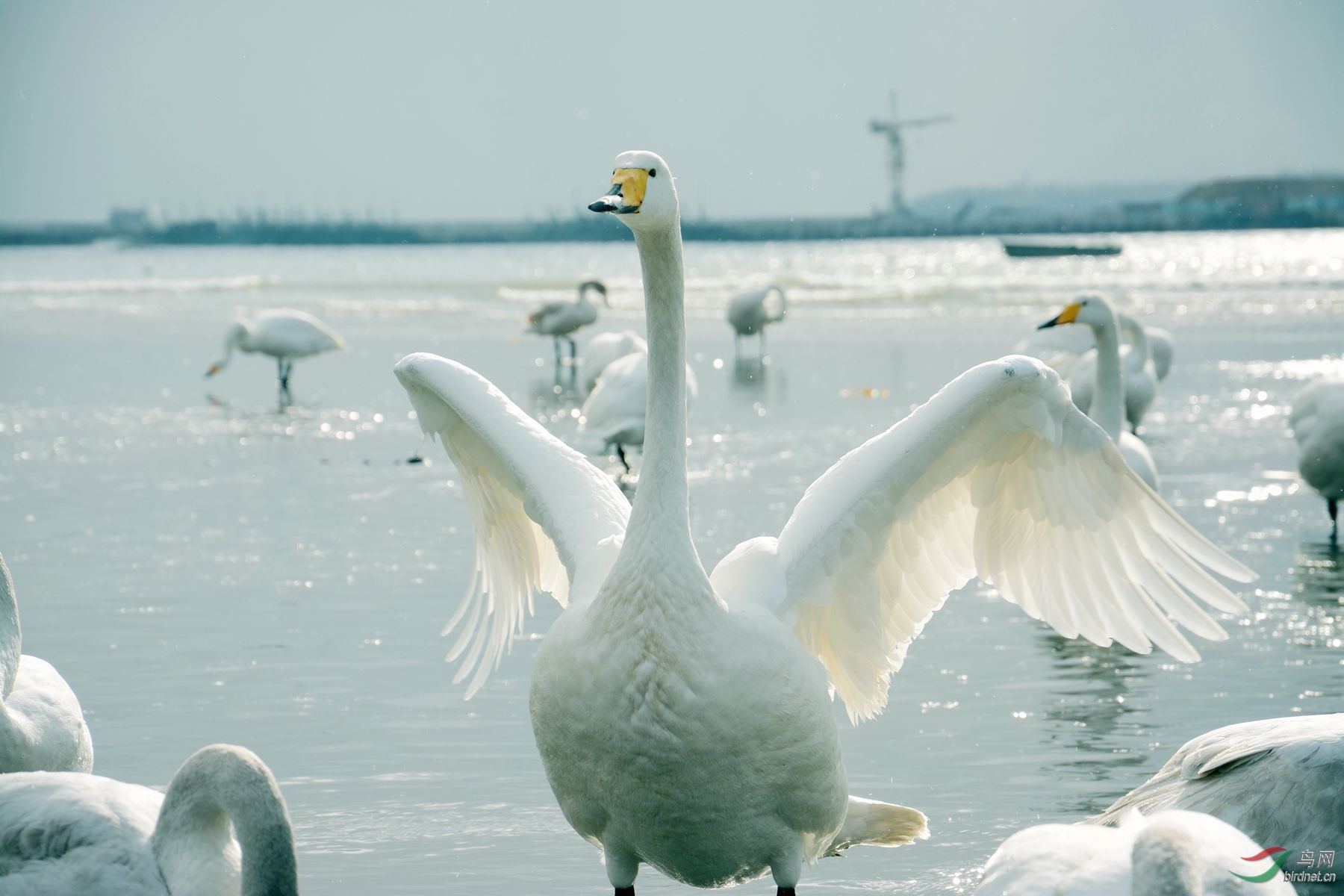DSC_7159_����.jpg