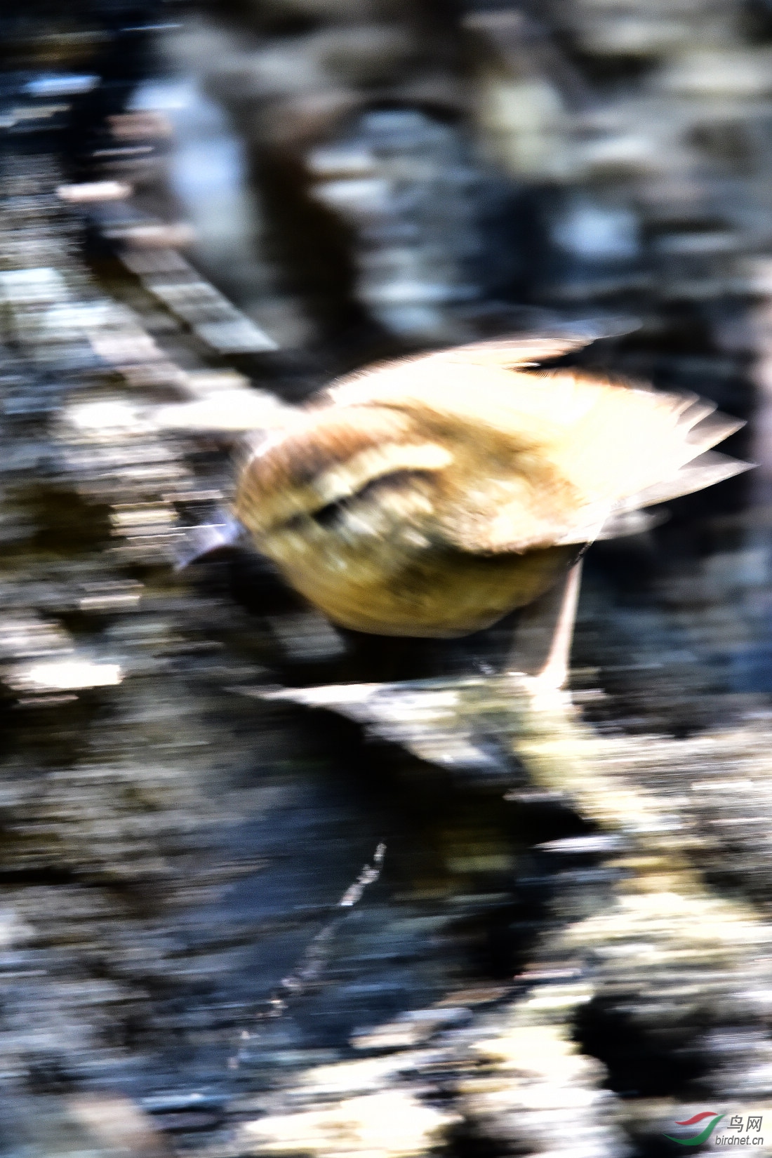 DSC_0406.JPG