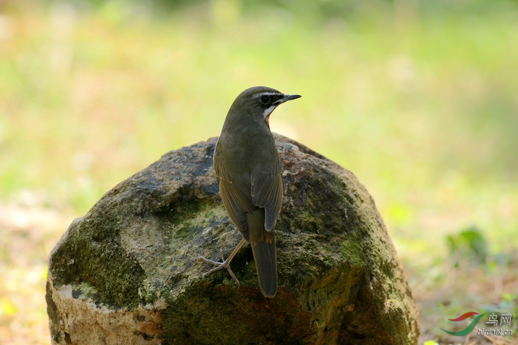 367A2629_����.jpg