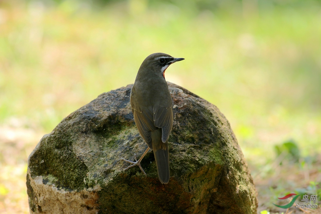 367A2630_����.jpg