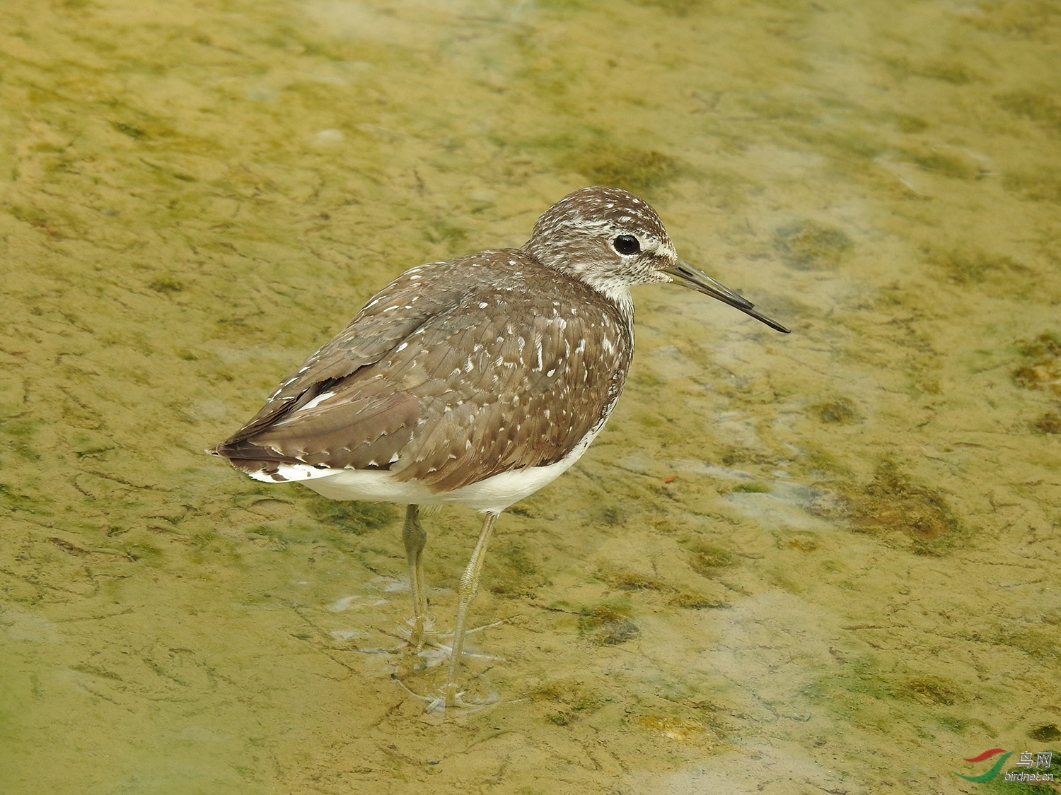DSCN3267.jpg