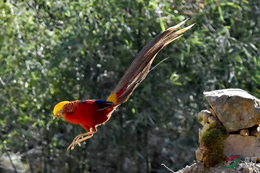 DSC_7365.JPG
