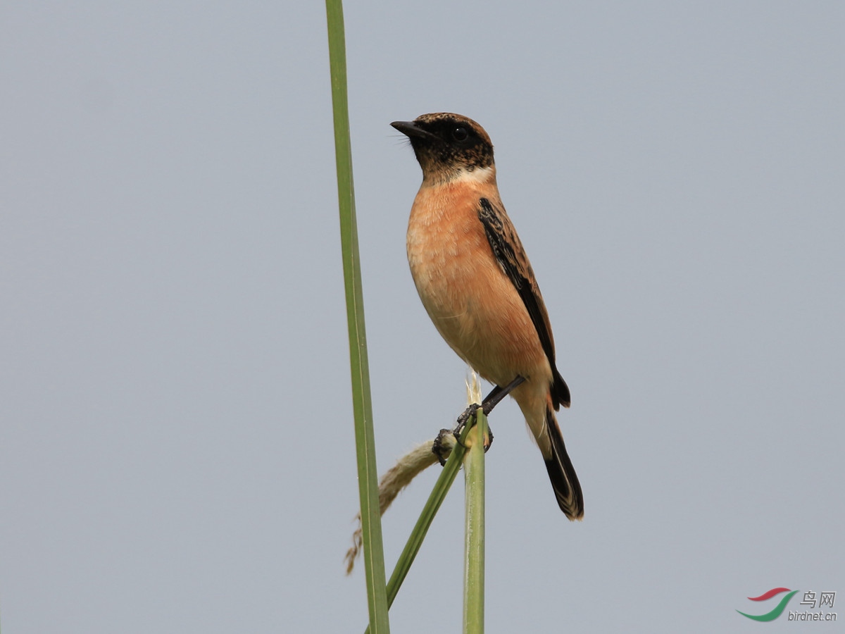 EOS 650D_1060_����.jpg