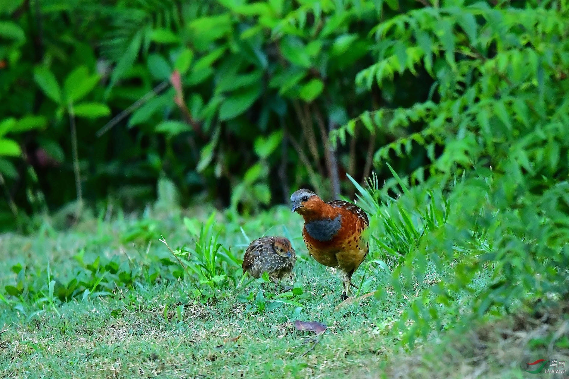 DSC_6574_����.jpg