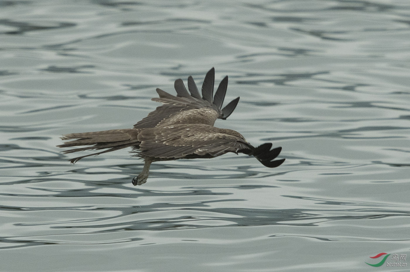 D50_0216.jpg