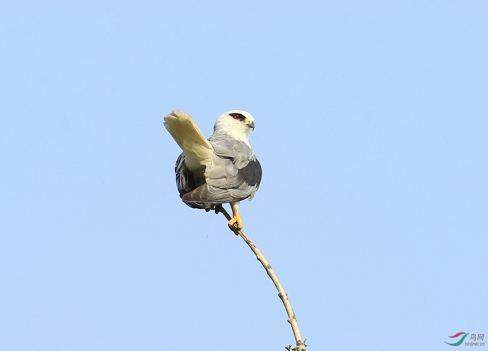 _I8T2023 (2)_����.jpg