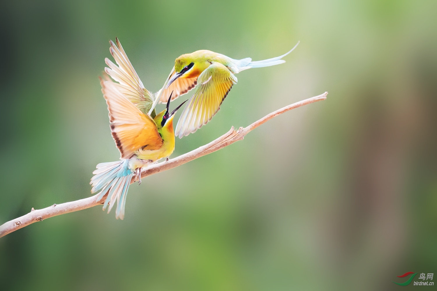 �����仢  01 20190616.JPG