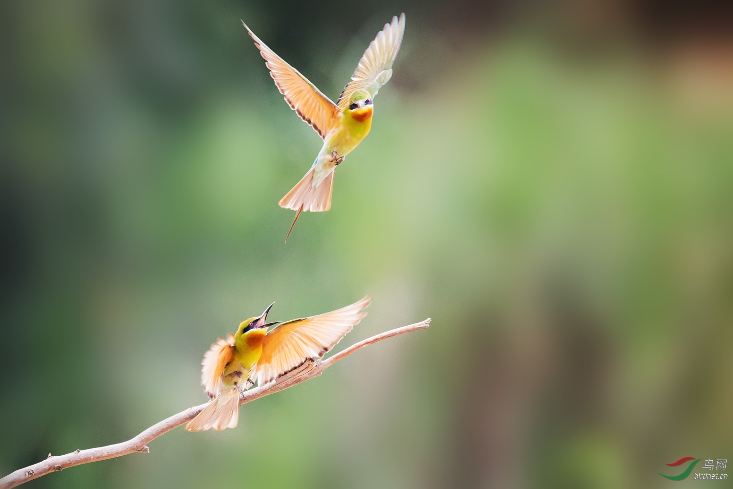 �����仢  03 20190616.JPG