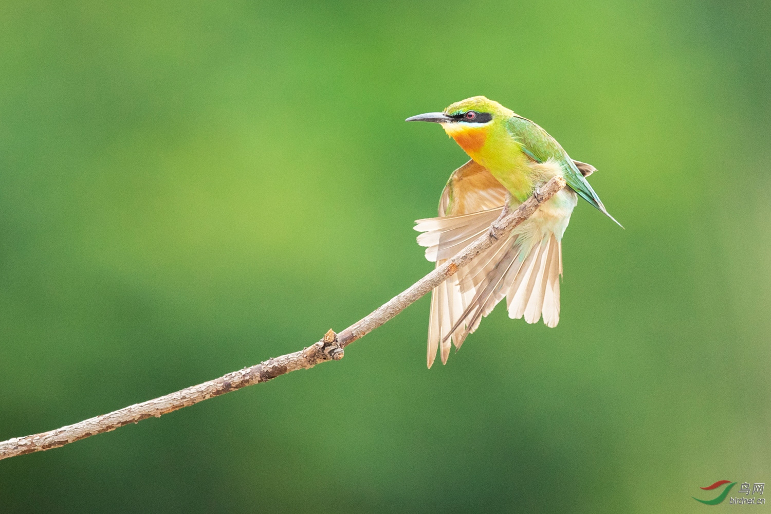 �����仢  05 20190616.JPG