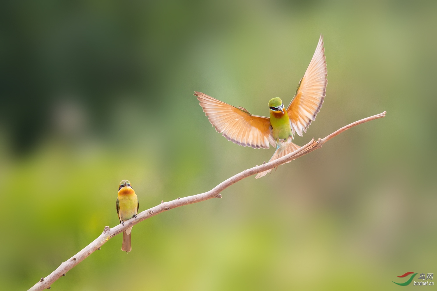 �����仢  04 20190616.JPG