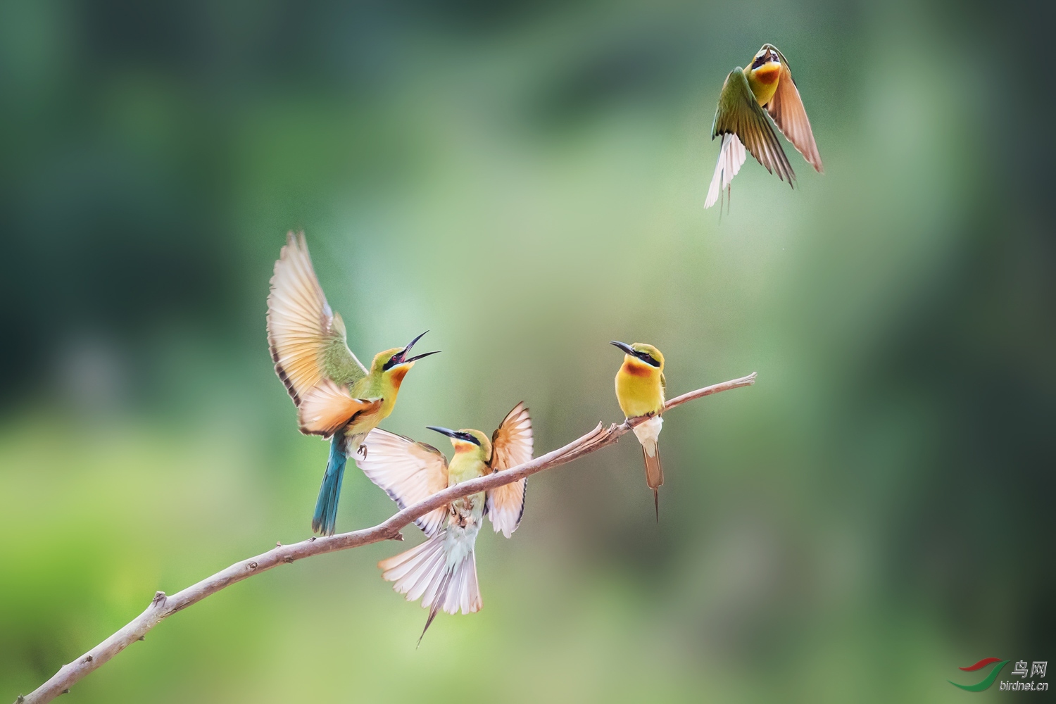 �����仢  12 20190616.JPG