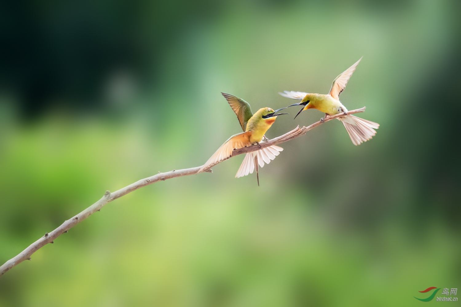 �����仢  18 20190616.JPG