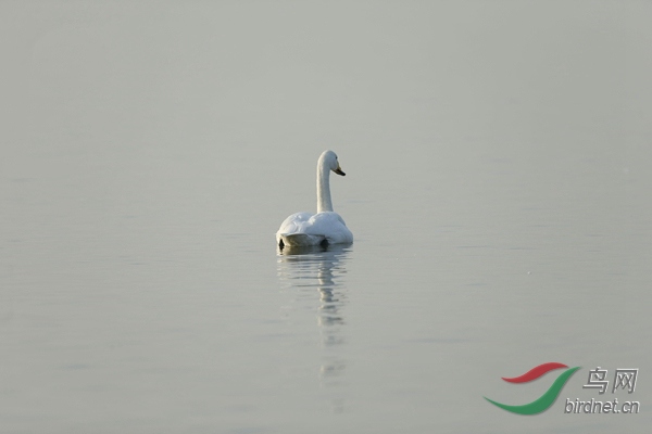 _E8J0380.jpg