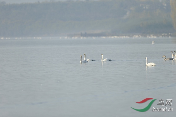 _E8J0382.jpg