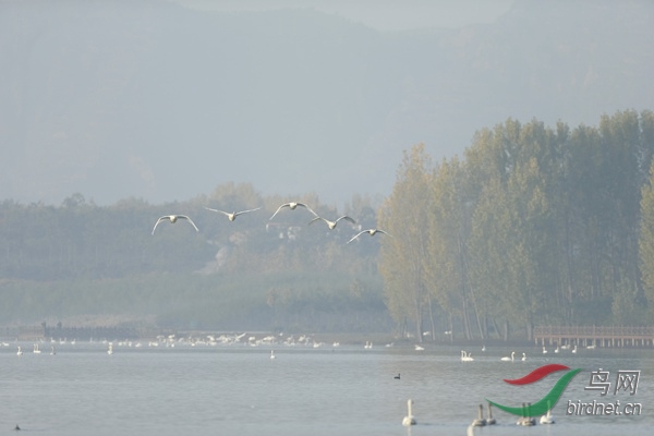 _E8J0454.jpg