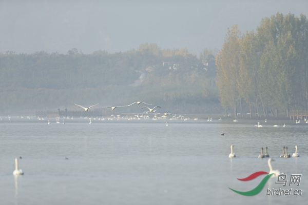 _E8J0449.jpg