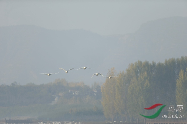 _E8J0458.jpg