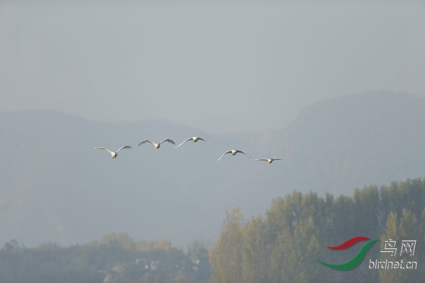 _E8J0470.jpg